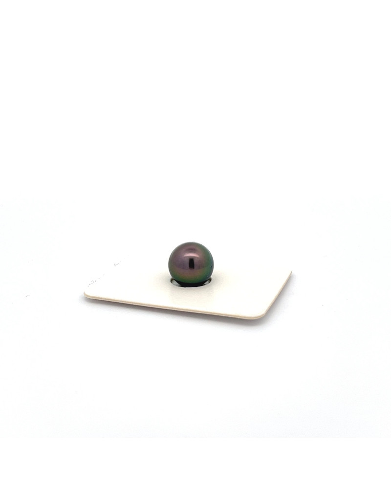 9mm+ gem  grade Tahitian Black pearl, French Polynesia  