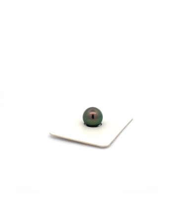 9mm+ gem  grade Tahitian Black pearl, French Polynesia  