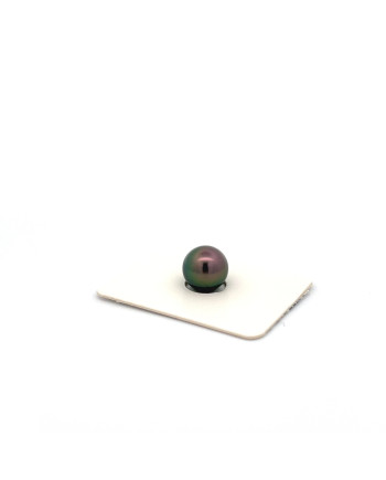 9mm+ gem  grade Tahitian Black pearl, French Polynesia  