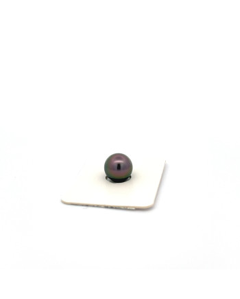 9mm+ gem  grade Tahitian Black pearl, French Polynesia  