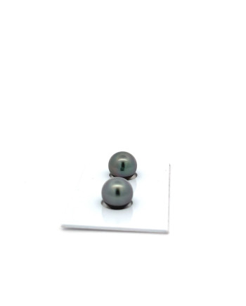 9mm+ fine  grade Tahitian Black pearl, French Polynesia  