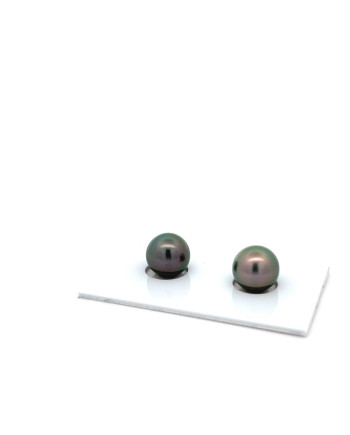 9mm+ fine  grade Tahitian Black pearl, French Polynesia  