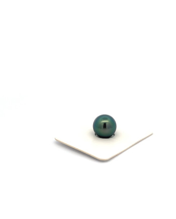 9mm+ fine  grade Tahitian Black pearl, French Polynesia  