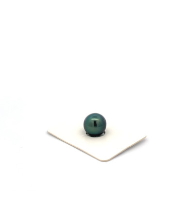 9mm+ fine  grade Tahitian Black pearl, French Polynesia  