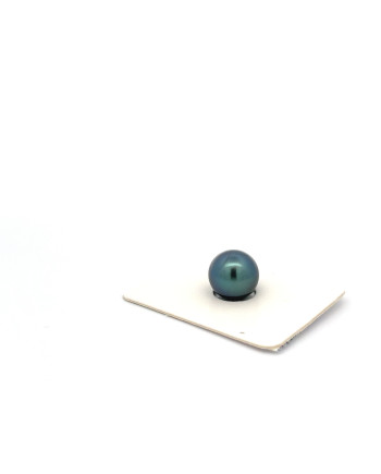 9mm+ fine  grade Tahitian Black pearl, French Polynesia  