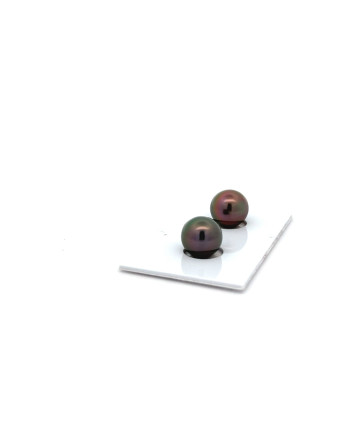 9mm+ jewel  grade Tahitian Black pearl, French Polynesia  