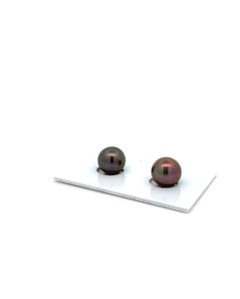 9mm+ jewel  grade Tahitian Black pearl, French Polynesia  
