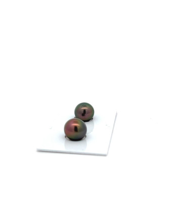 9mm+ jewel  grade Tahitian Black pearl, French Polynesia  