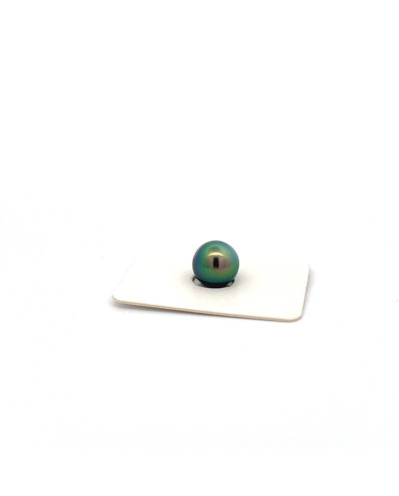 9mm+ jewel  grade Tahitian Black pearl, French Polynesia  