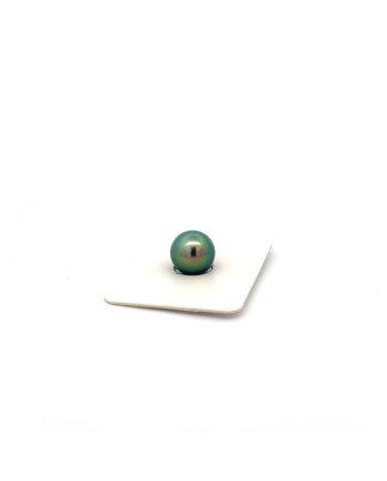 9mm+ jewel  grade Tahitian Black pearl, French Polynesia  
