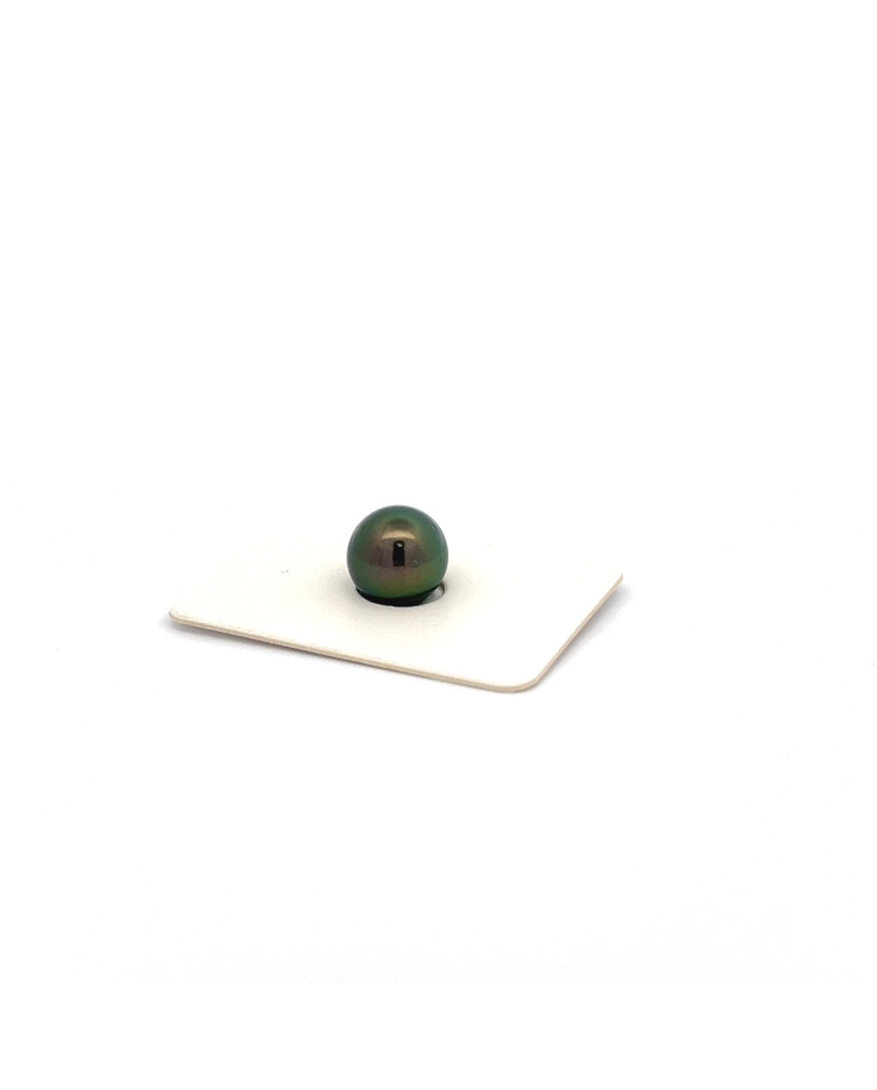 9mm+ jewel  grade Tahitian Black pearl, French Polynesia  