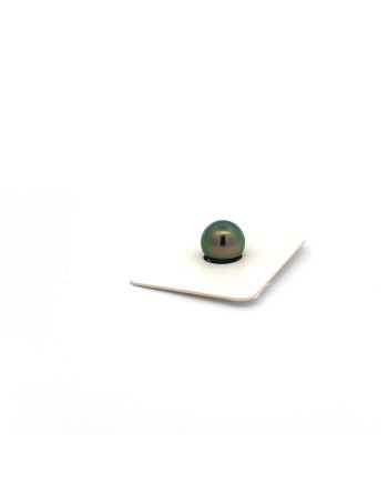 9mm+ jewel  grade Tahitian Black pearl, French Polynesia  