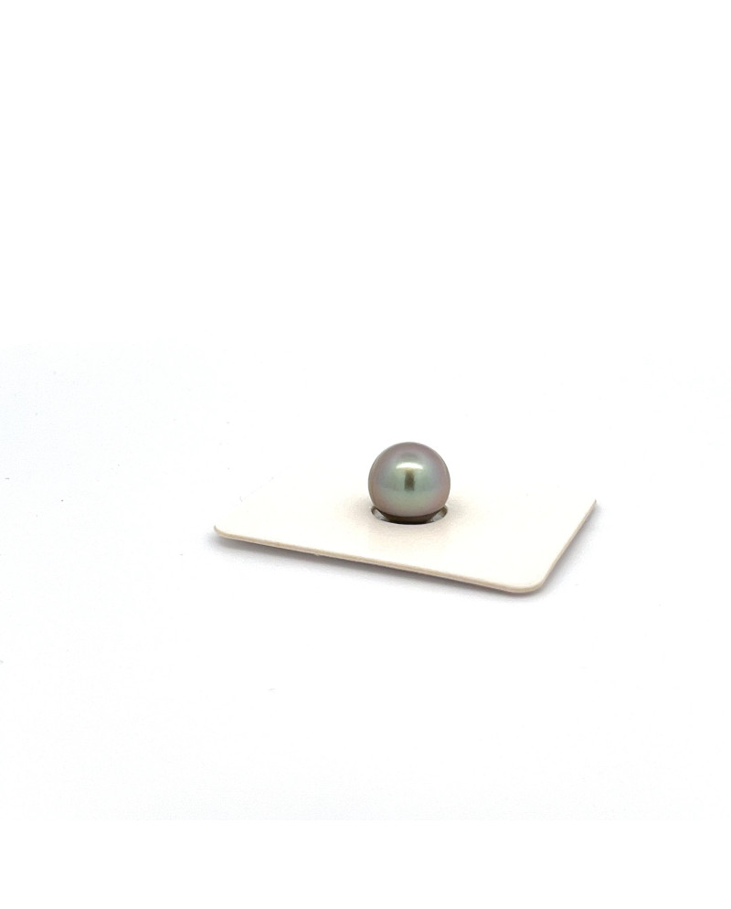 9mm+ fine  grade Tahitian Black pearl, French Polynesia  