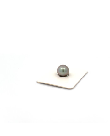 9mm+ fine  grade Tahitian Black pearl, French Polynesia  