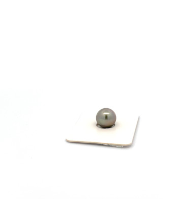 9mm+ fine  grade Tahitian Black pearl, French Polynesia  