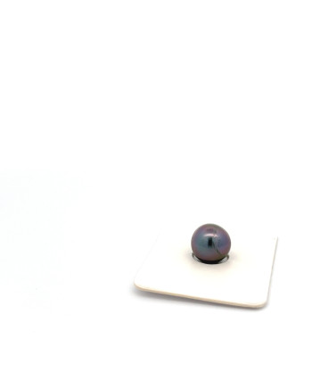 9mm+ jewel  grade Tahitian Black pearl, French Polynesia  