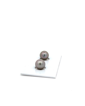 9mm+ jewel  grade Tahitian Black pearl, French Polynesia  