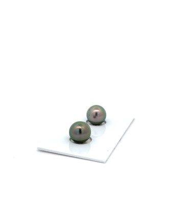 9mm+ jewel  grade Tahitian Black pearl, French Polynesia  