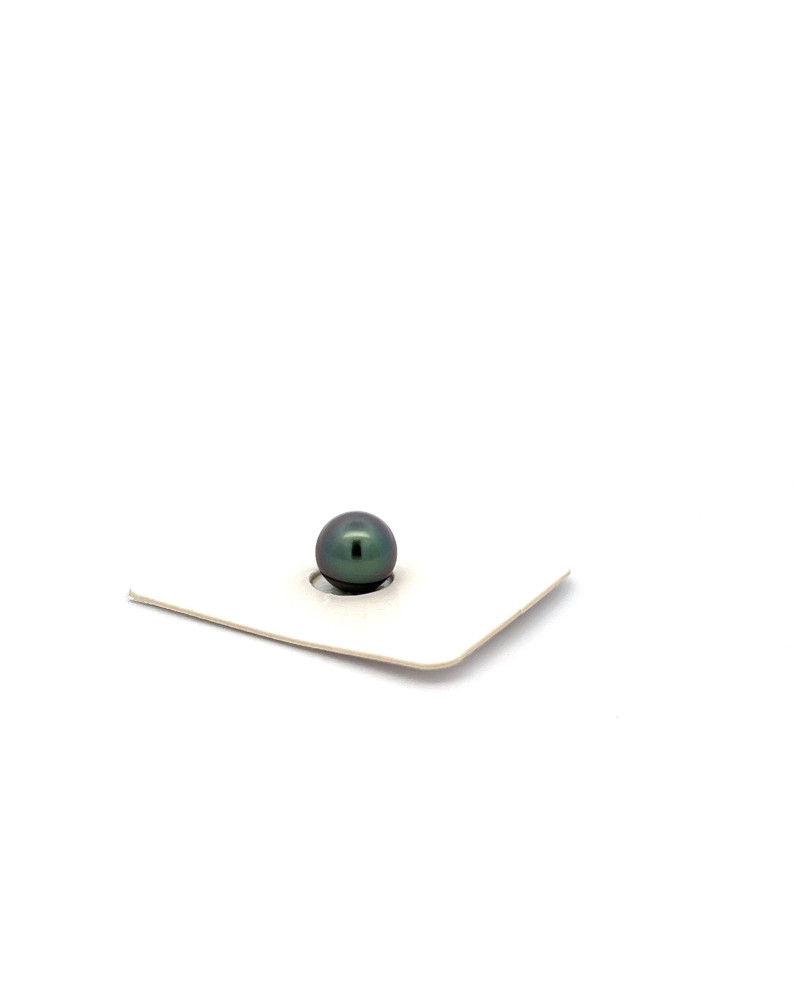 6mm+ fine  grade Tahitian Black pearl, French Polynesia  