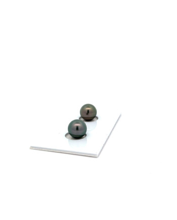 6mm+ fine  grade Tahitian Black pearl, French Polynesia  