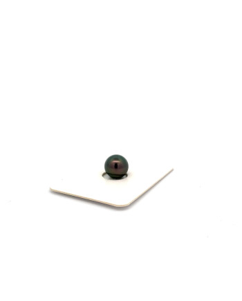 6mm+ jewel  grade Tahitian Black pearl, French Polynesia  