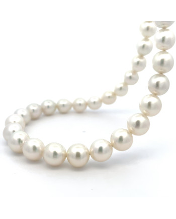 9mm+ fine  grade South Sea pearl, Indonesia