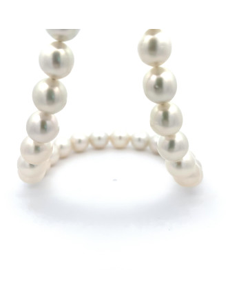 9mm+ fine  grade South Sea pearl, Indonesia