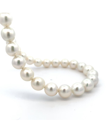 9mm+ fine  grade South Sea pearl, Indonesia