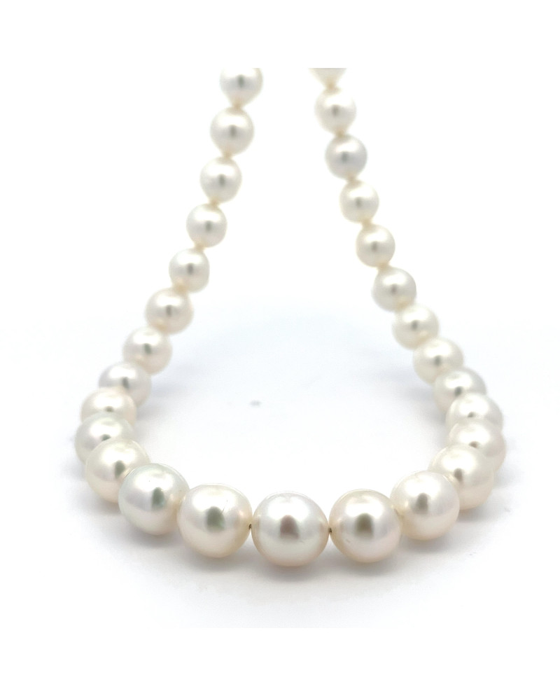 9mm+ fine  grade South Sea pearl, Indonesia