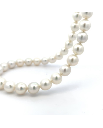 9mm+ fine  grade South Sea pearl, Indonesia