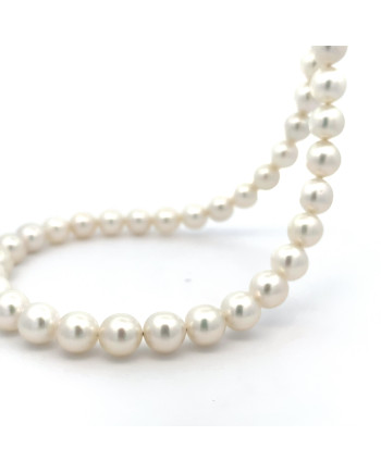 9mm+ fine  grade South Sea pearl, Indonesia