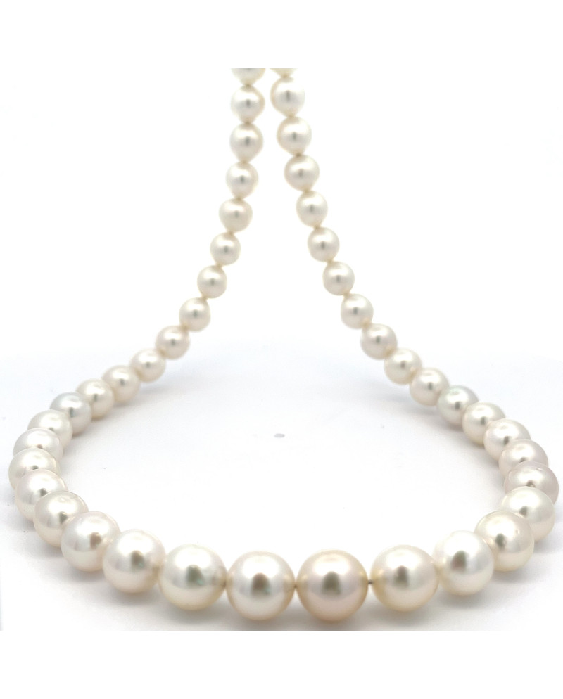 9mm+ fine  grade South Sea pearl, Indonesia