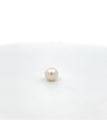 9mm+ jewel  grade South Sea pearl, Indonesia