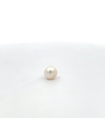 9mm+ jewel  grade South Sea pearl, Indonesia
