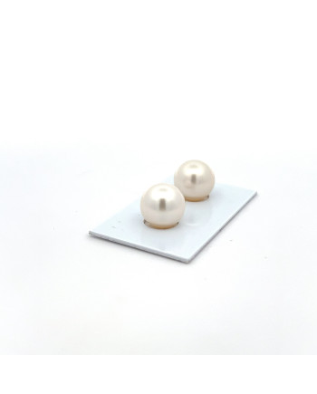 12mm+ gem  grade South Sea pearl, Australia