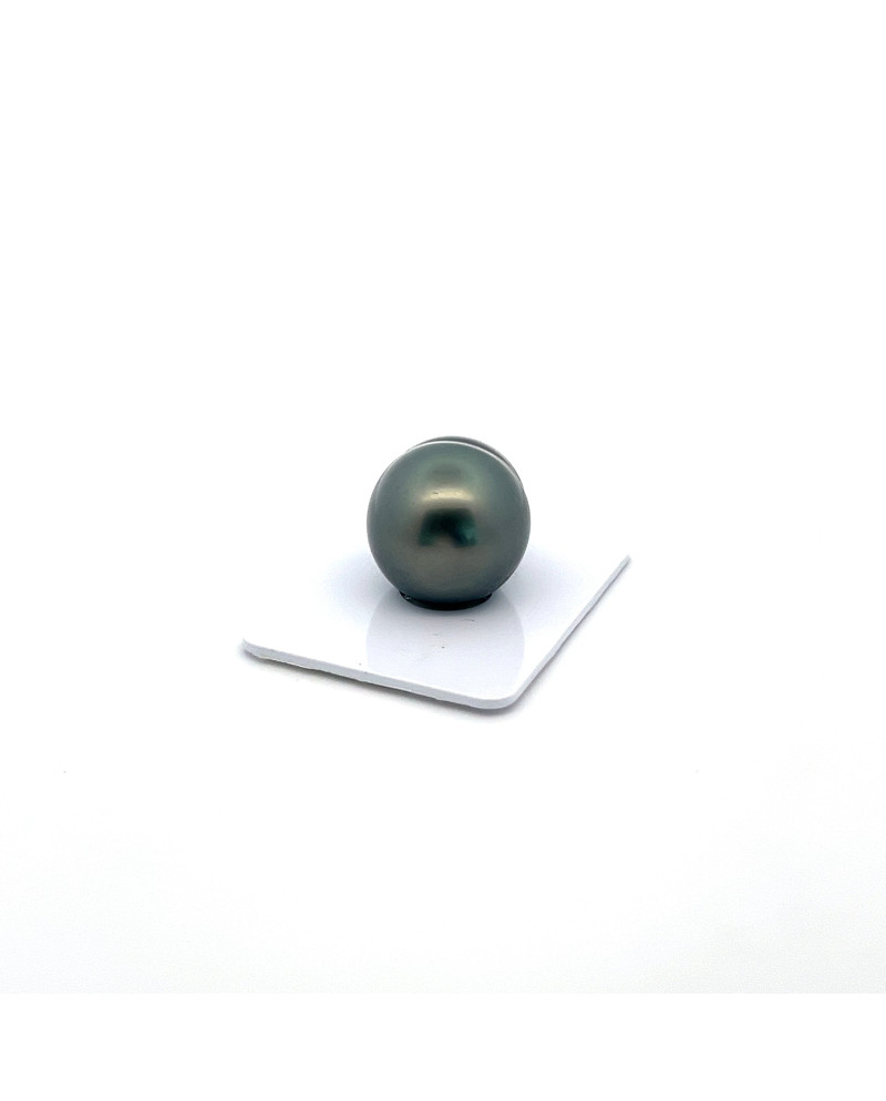 17mm+ fine  grade Tahitian Black pearl, French Polynesia  