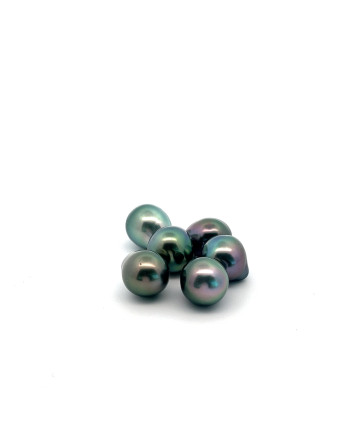 9mm+ fine  grade Tahitian Black pearl, French Polynesia  