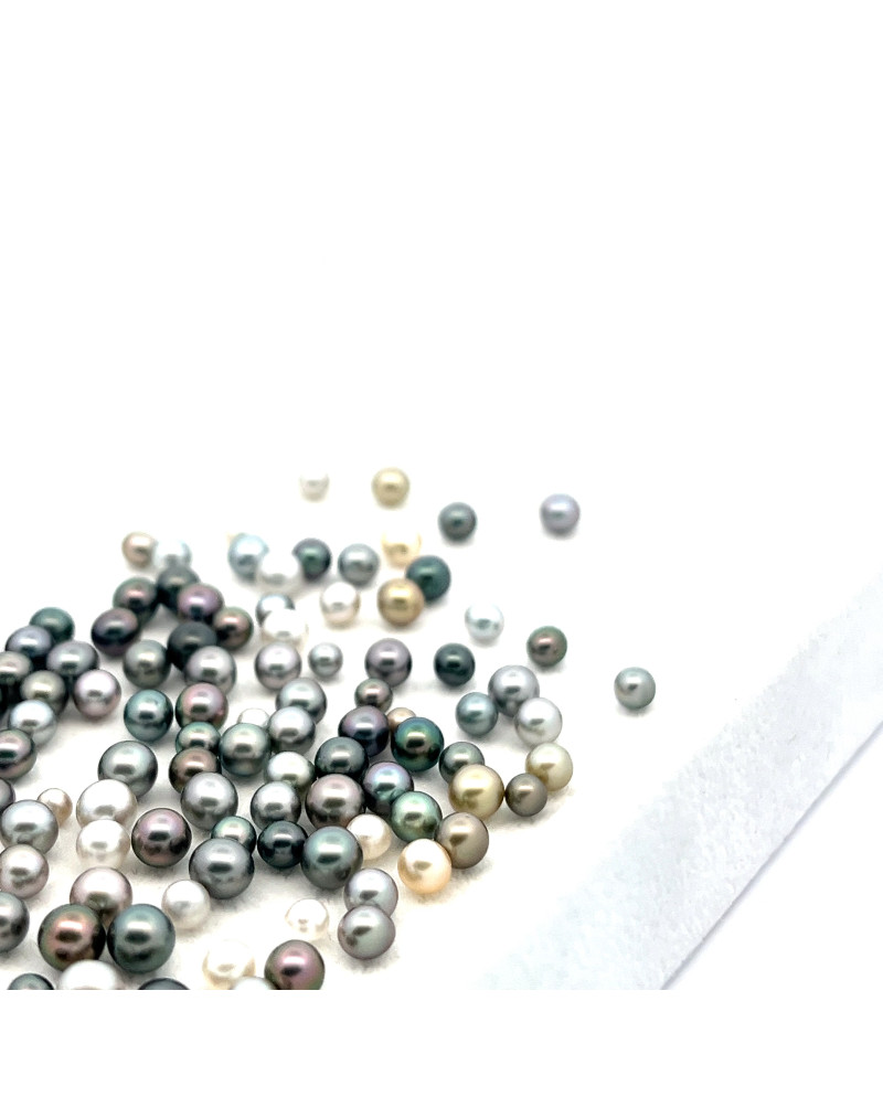 3mm+ gem  grade Tahitian Black pearl, French Polynesia  