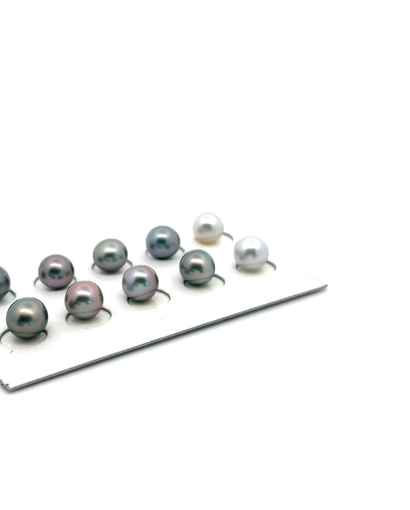 6mm+ gem  grade Tahitian Black pearl, French Polynesia  
