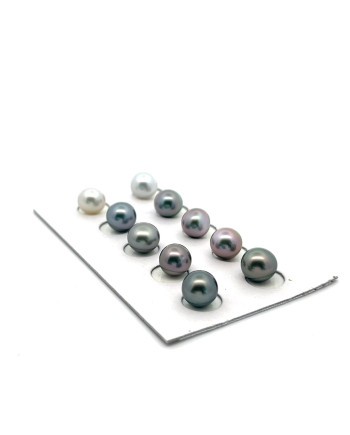 6mm+ gem  grade Tahitian Black pearl, French Polynesia  