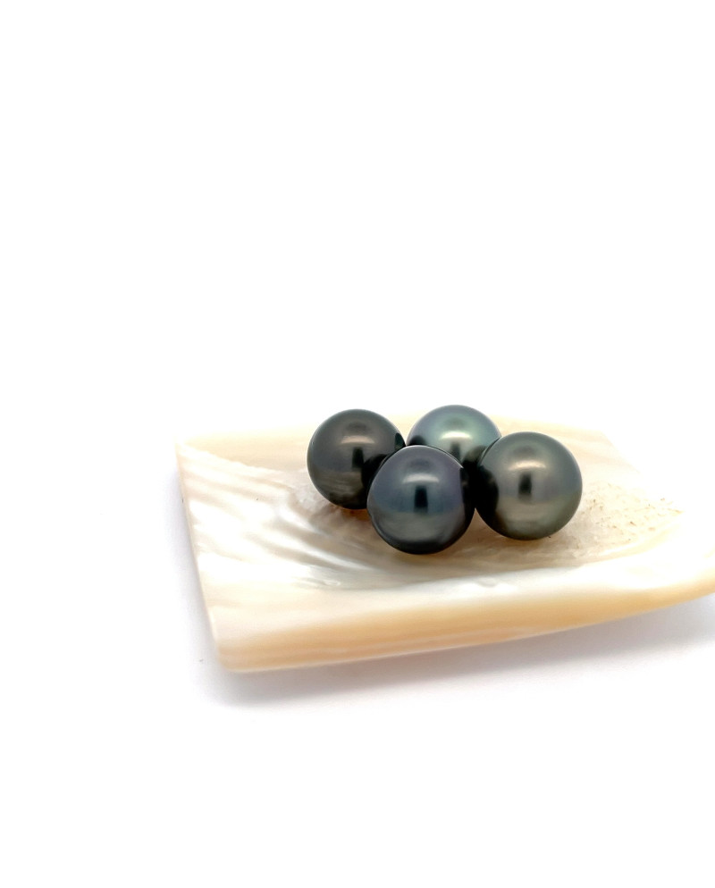 12mm+ gem  grade Tahitian Black pearl, French Polynesia  