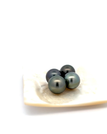 12mm+ gem  grade Tahitian Black pearl, French Polynesia  
