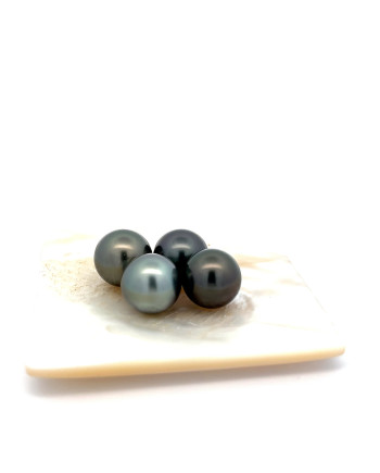 12mm+ gem  grade Tahitian Black pearl, French Polynesia  
