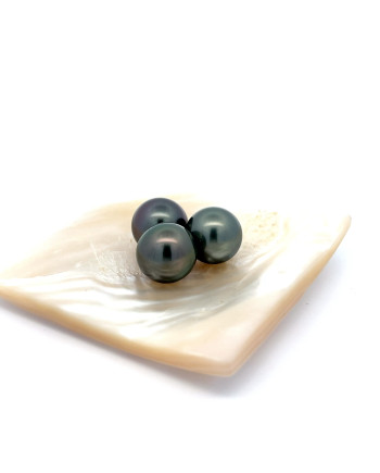 12mm+ gem  grade Tahitian Black pearl, French Polynesia  