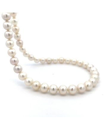 6mm+ jewel  grade South Sea pearl, Indonesia