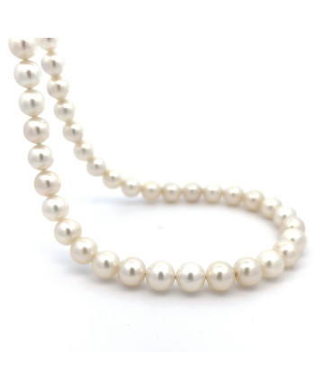 6mm+ jewel  grade South Sea pearl, Indonesia