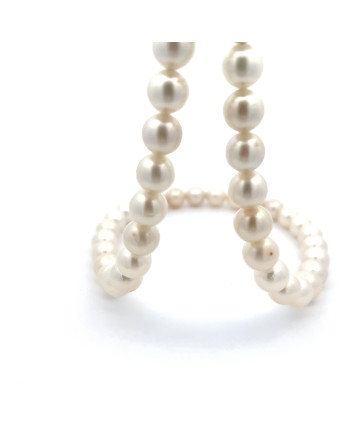 6mm+ jewel  grade South Sea pearl, Indonesia