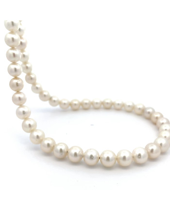 6mm+ jewel  grade South Sea pearl, Indonesia