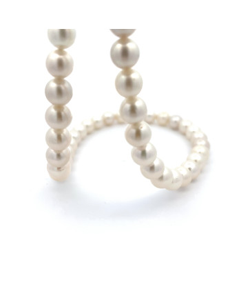 6mm+ jewel  grade South Sea pearl, Indonesia