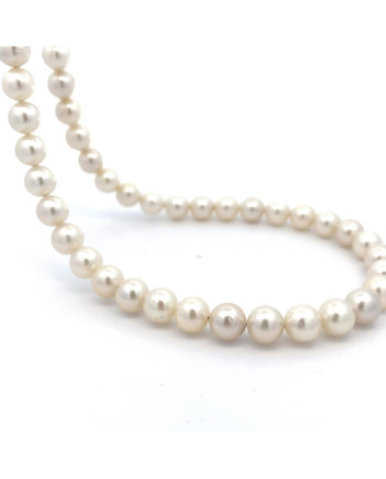 6mm+ jewel  grade South Sea pearl, Indonesia